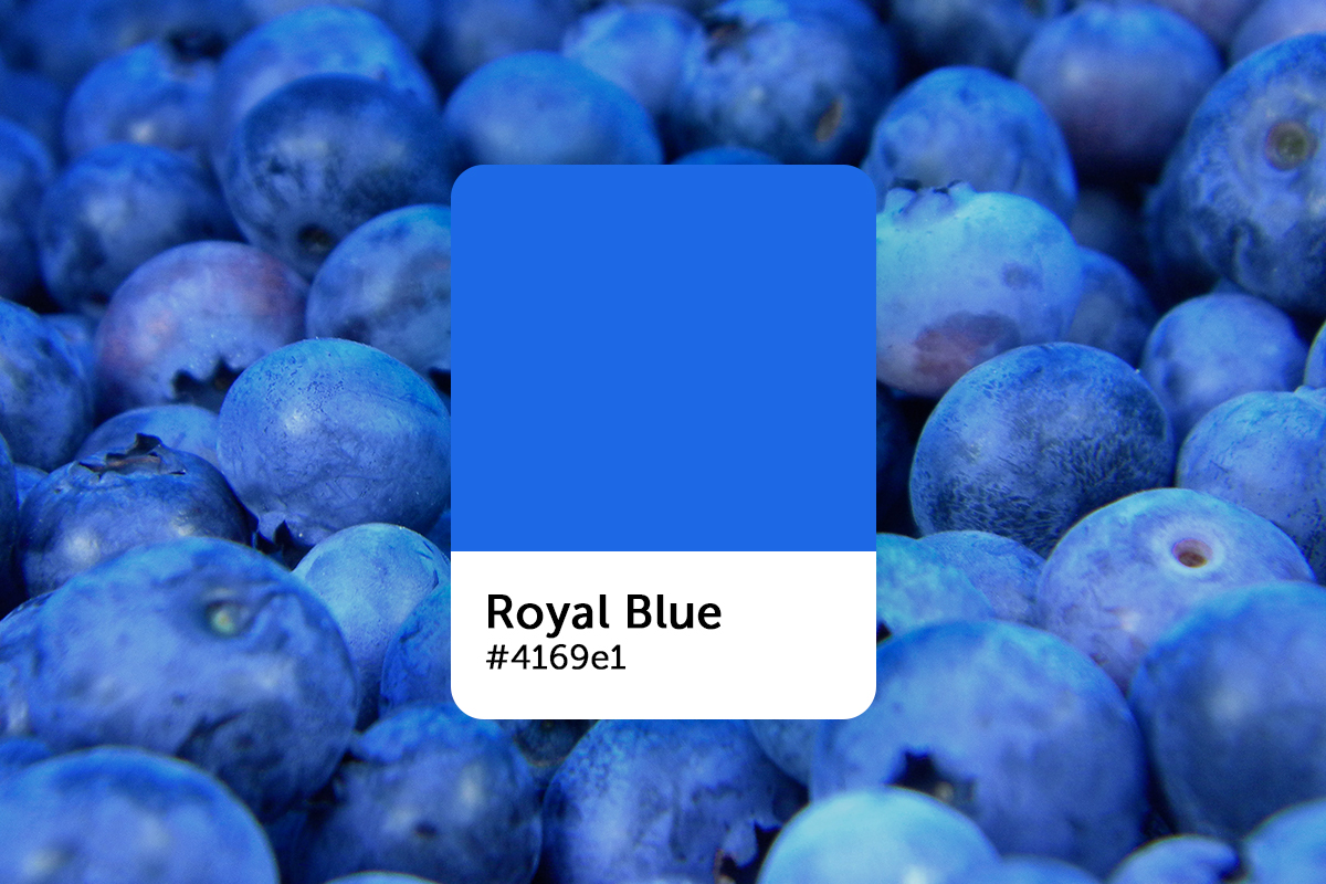 What Does Royal Blue Mean