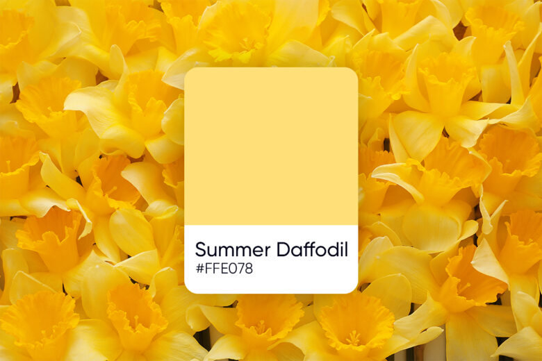 Summer Daffodil - similar pastel yellow color