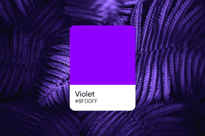 violet – complementary pastel yellow color