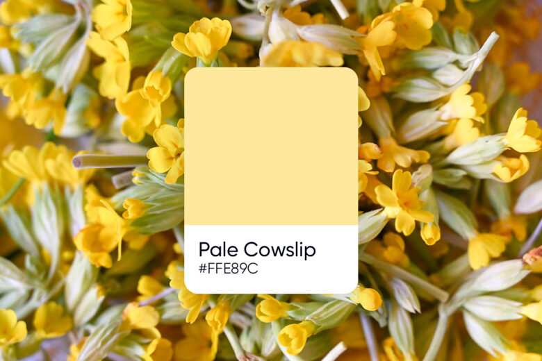 Pale Cowslip - similar pastel yellow color