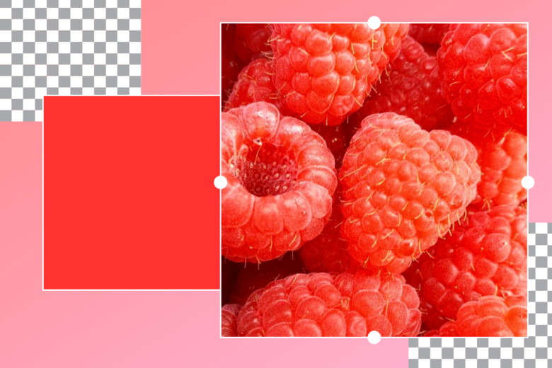 Color meanings and symbolism showing red berries