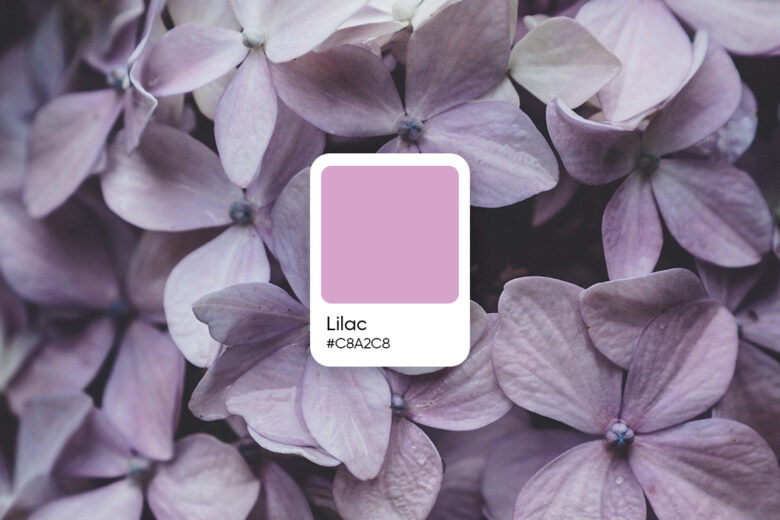 lilac hex color code