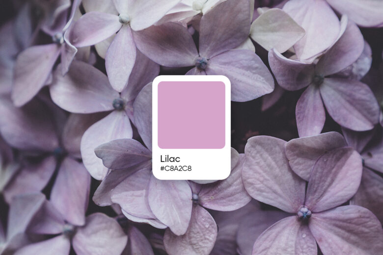 What Color Is Pastel Blue? Color Codes, Palette Ideas, and Related Colors -  Picsart Blog