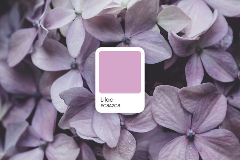 lilac hex color code