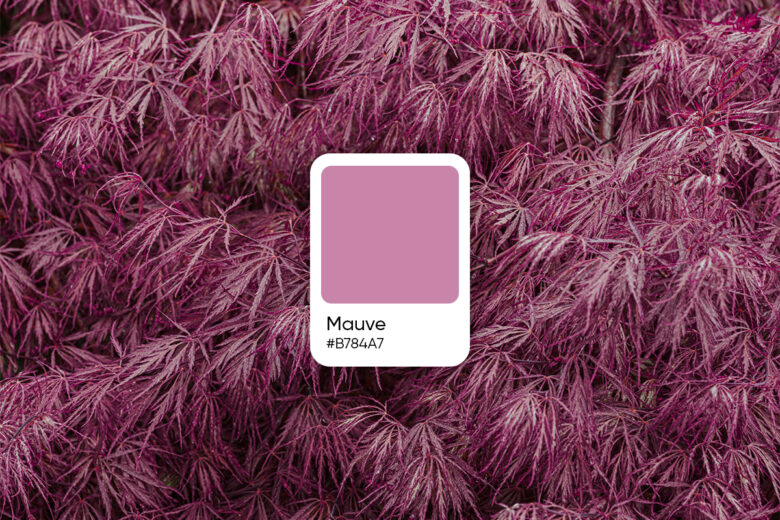 mauve hex color code