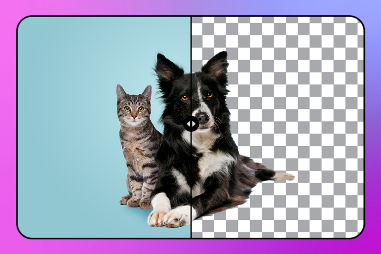 transparent dog and cat image