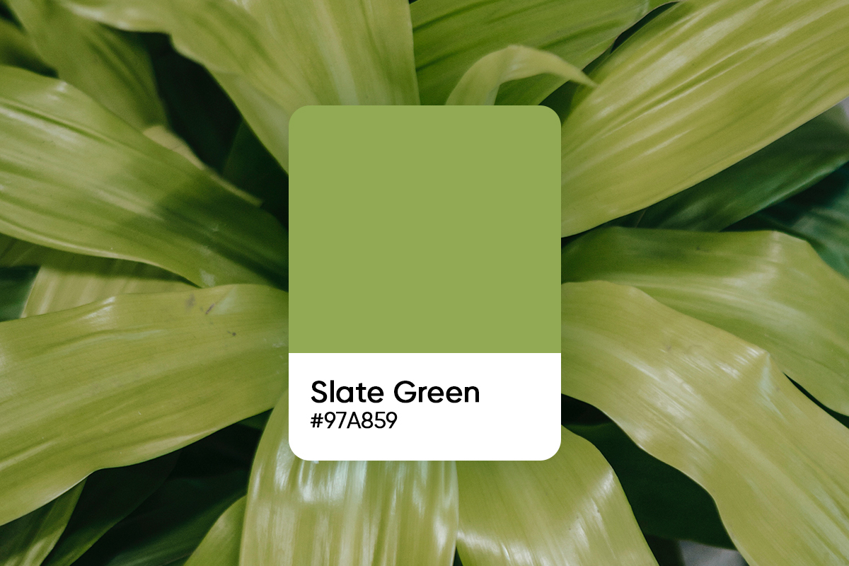 slate green color code shown over green plant