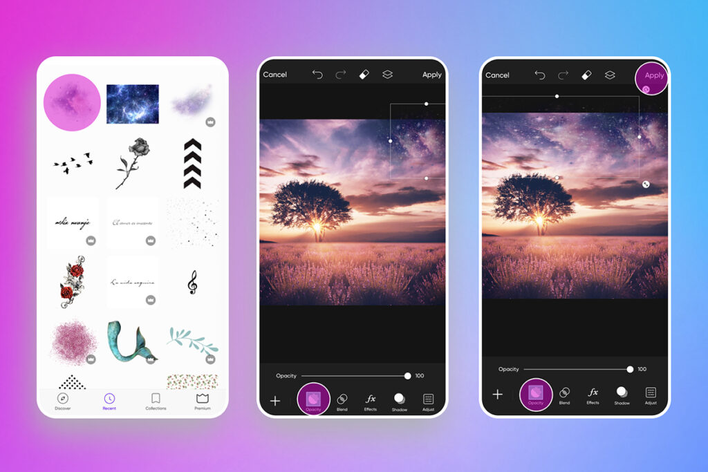 The 10 Nature Photography Tips Every Photographer Needs - Picsart Blog