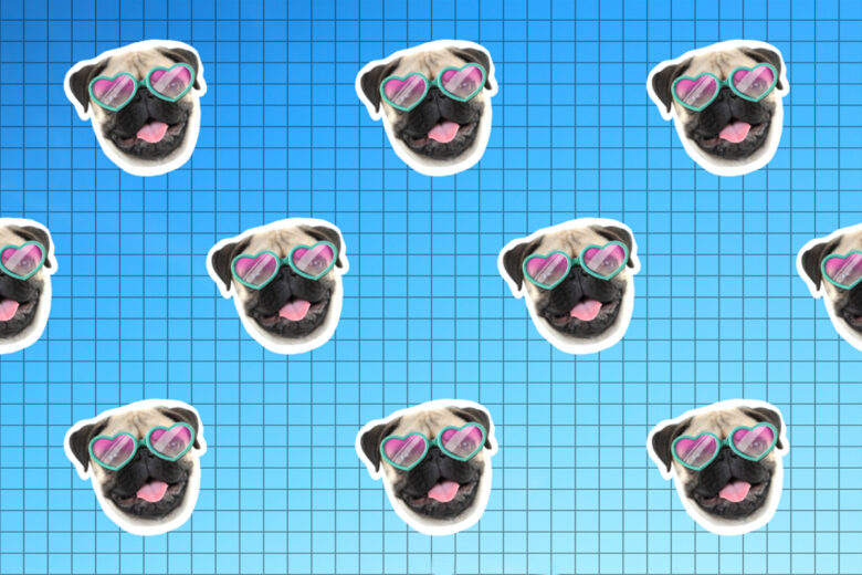 zoom background of a pug wearing sunglasses