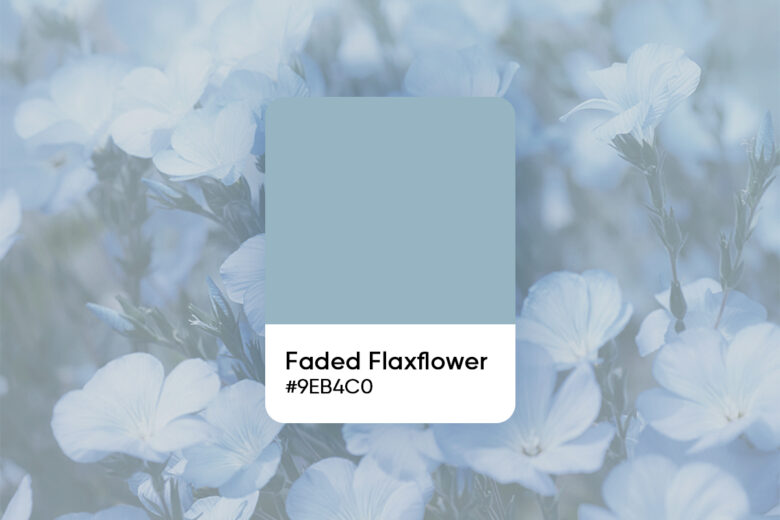 Faded flaxflower color code