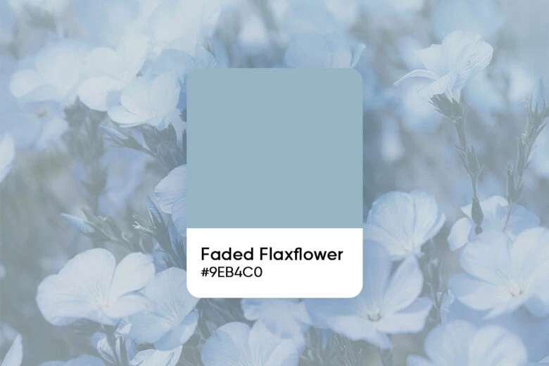 Faded flaxflower color code