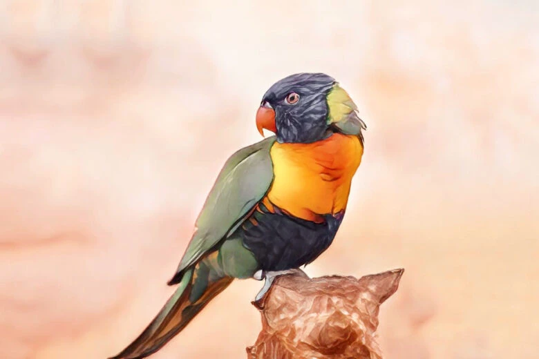 how to make cartoon photo example