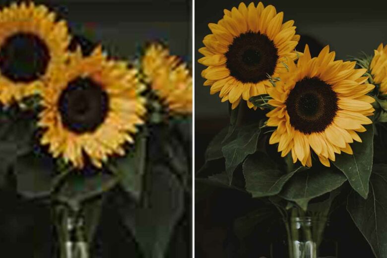 How To Increase The Resolution Of An Image Picsart Blog