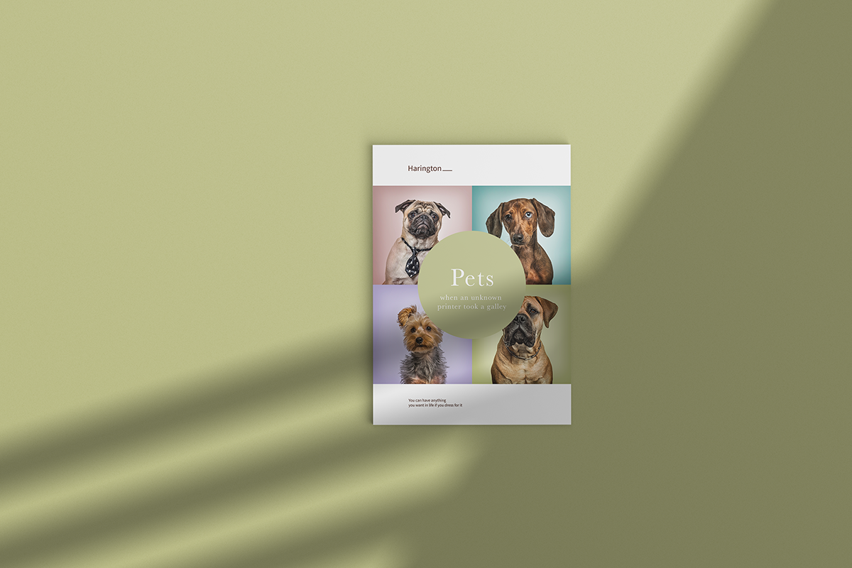 best flyer examples with pets