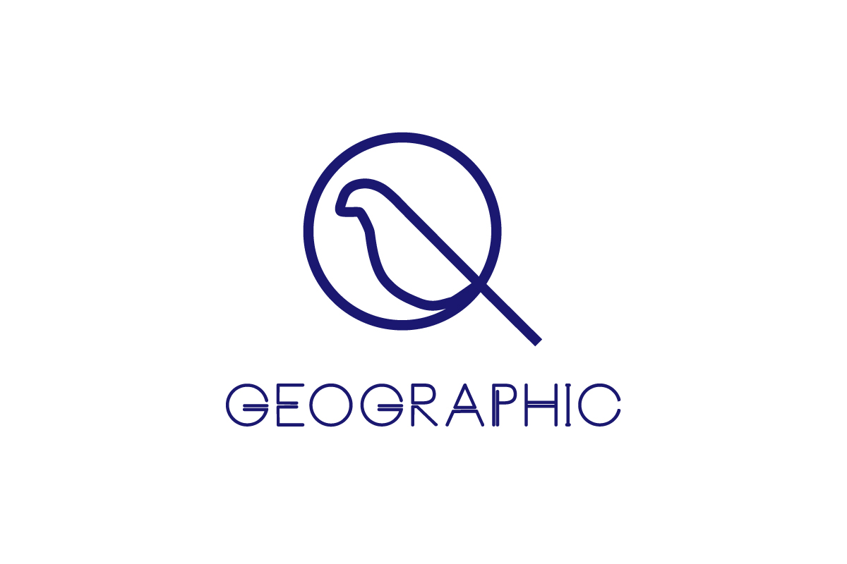 vintage geometric shape logo