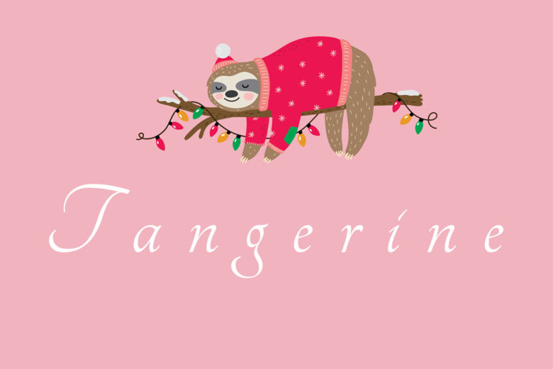 Tangerine - Cute Handwritten Font  Sans serif fonts, Cute fonts, Serif  fonts