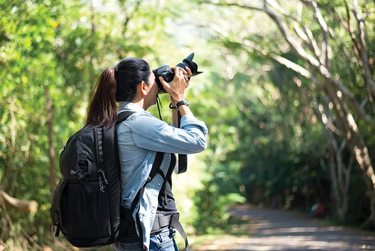 conservation documentary photographer in a forrest