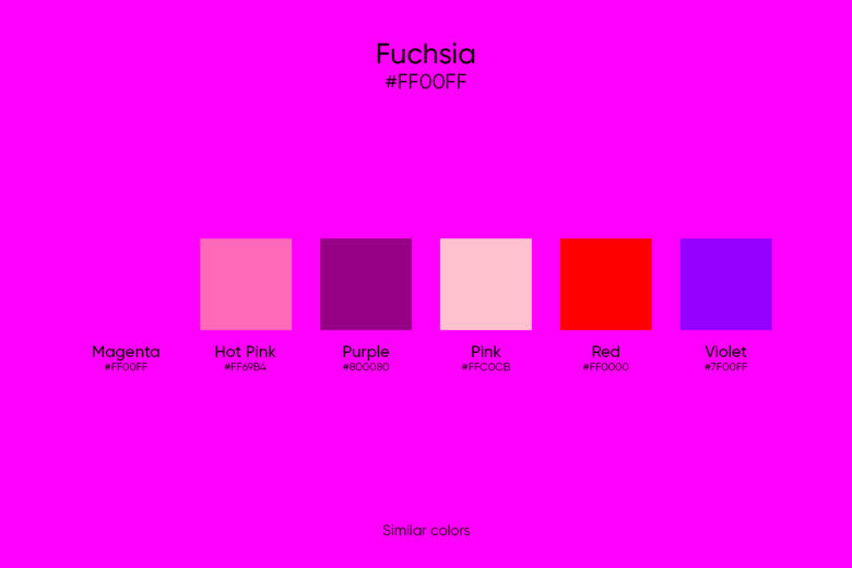 Fuchsia Color: Its Meaning, Similar Colors, and Codes - Picsart Blog