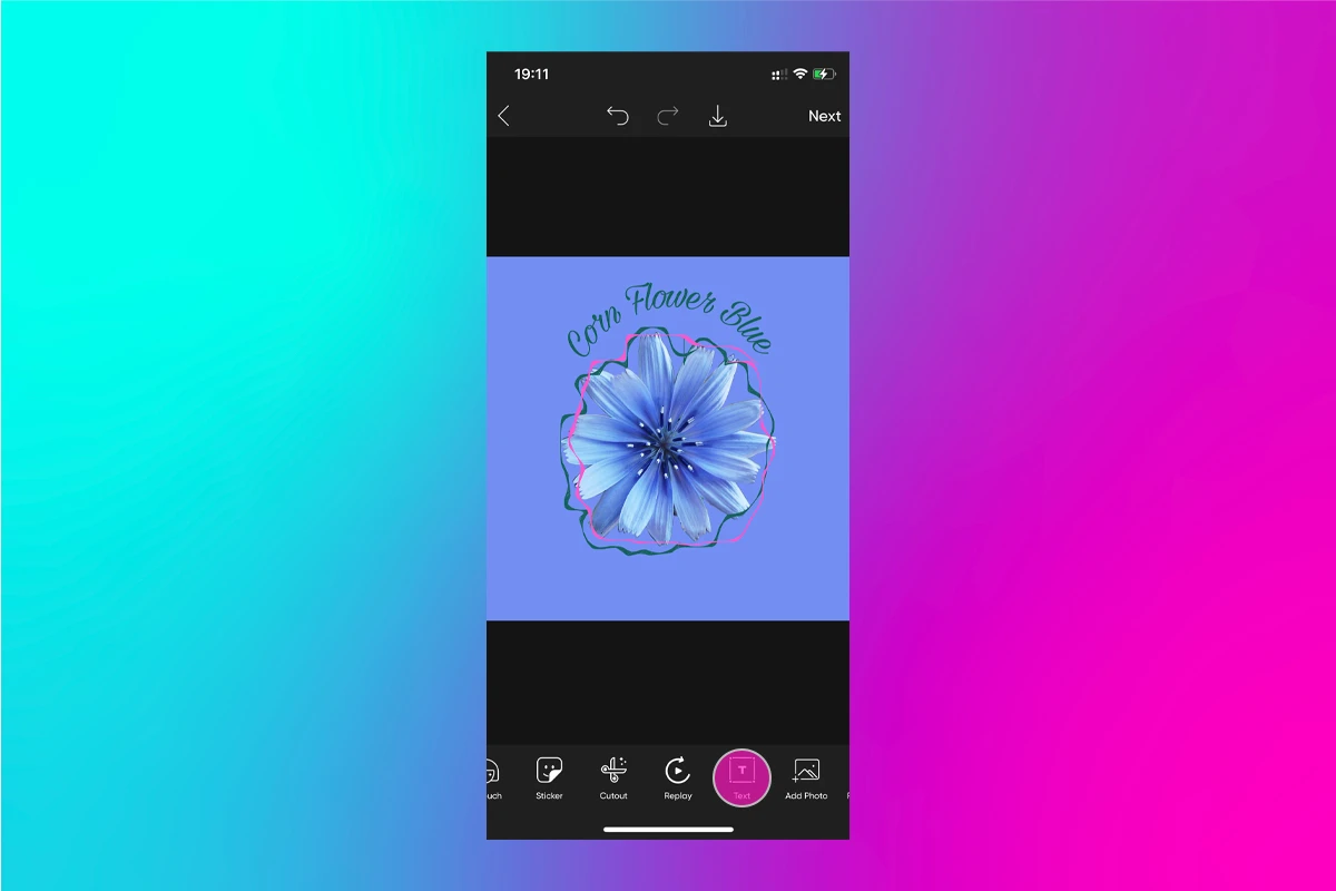 adding text to a cornflower blue edit in picsart
