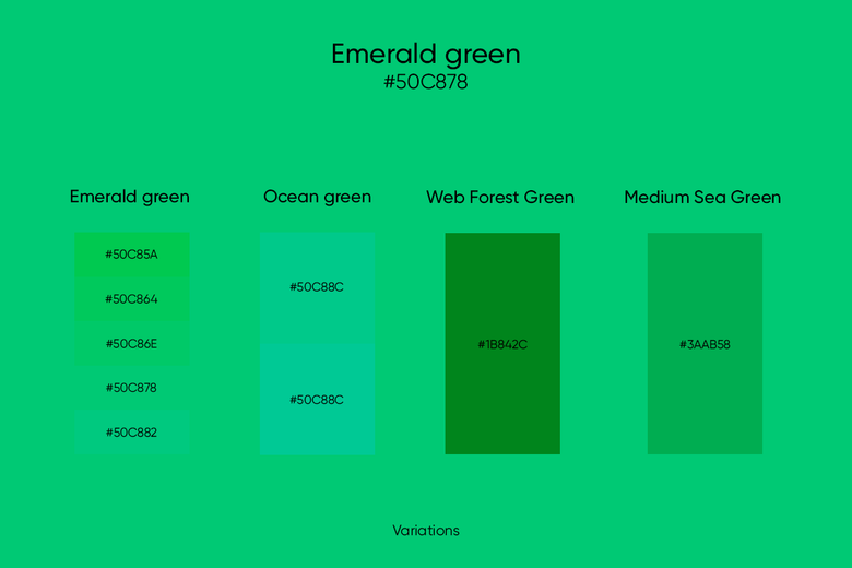 Emerald Green Its Codes and Best Color Combinations Picsart Blog