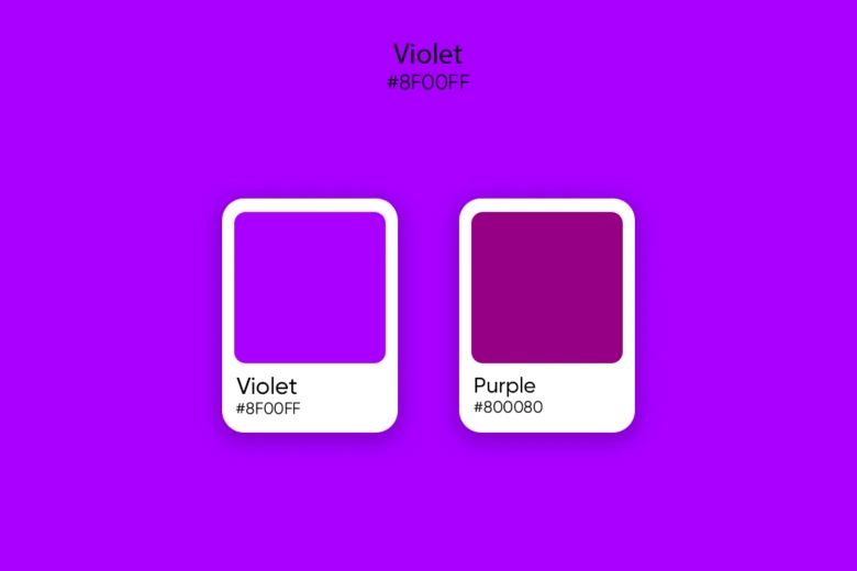 violet vs purple