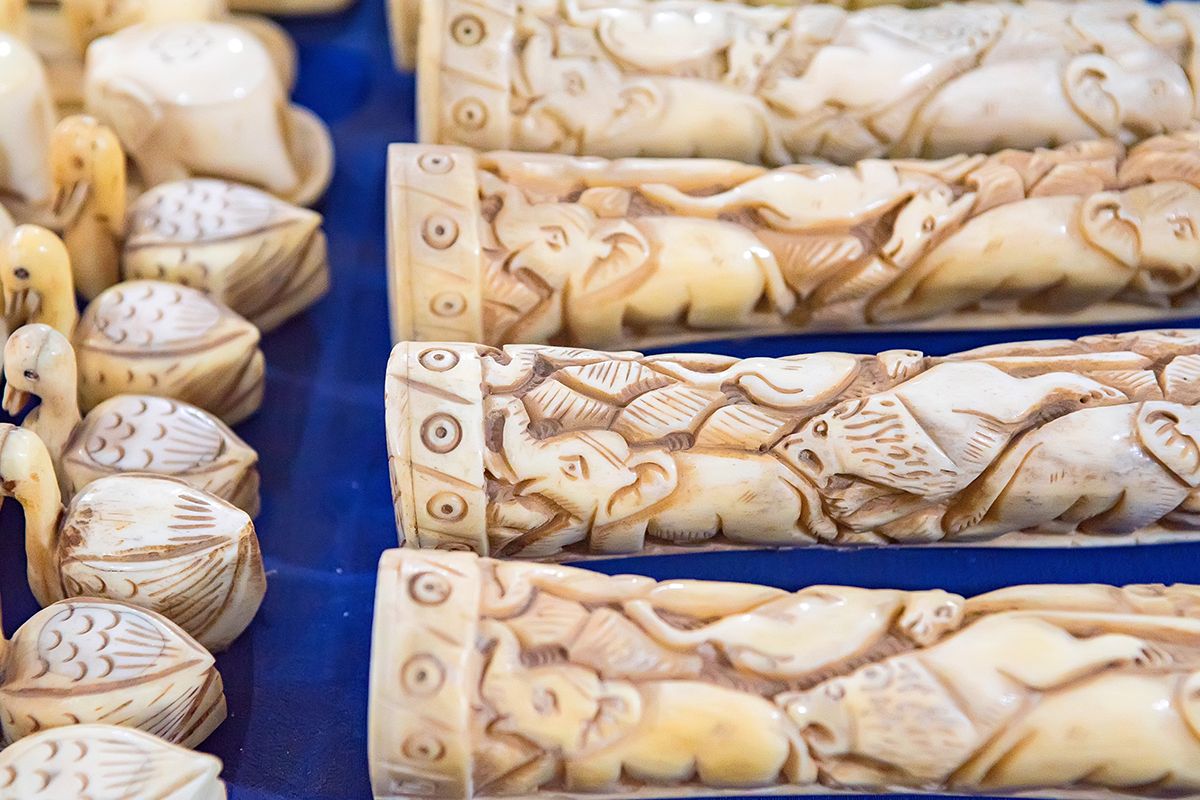 decorated ivory tusks