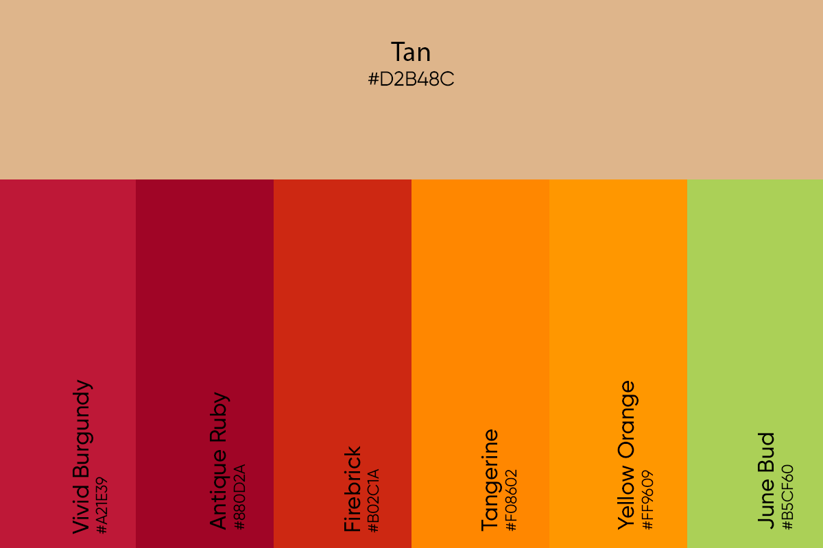 autum themed color palette with tan
