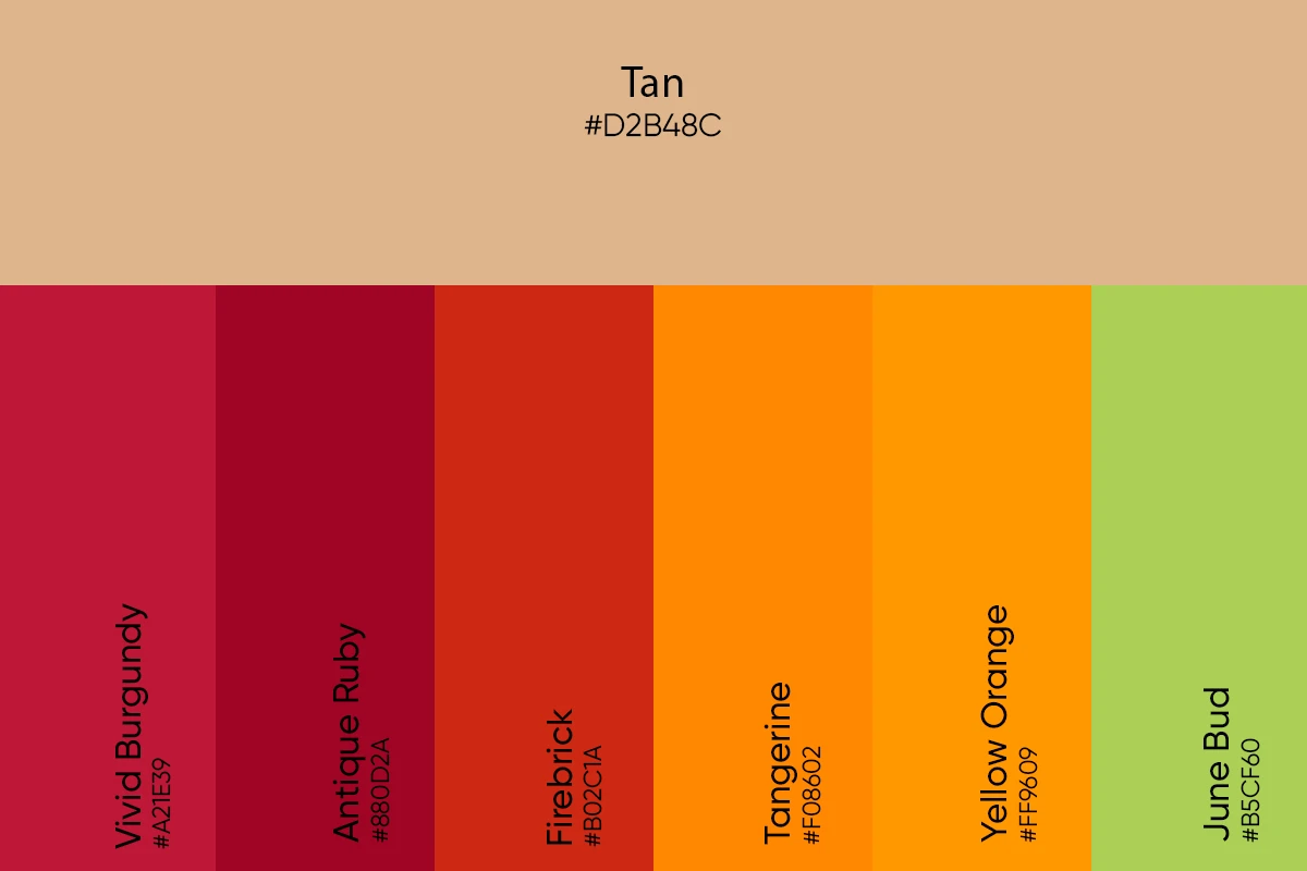 autum themed color palette with tan