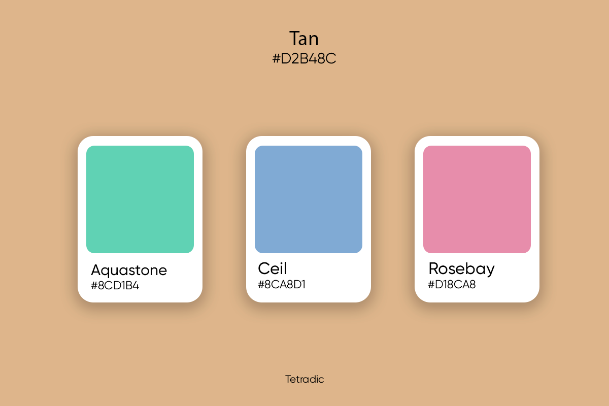 Tan Color: Its Meaning, Codes, and Top Palette Ideas - Picsart Blog