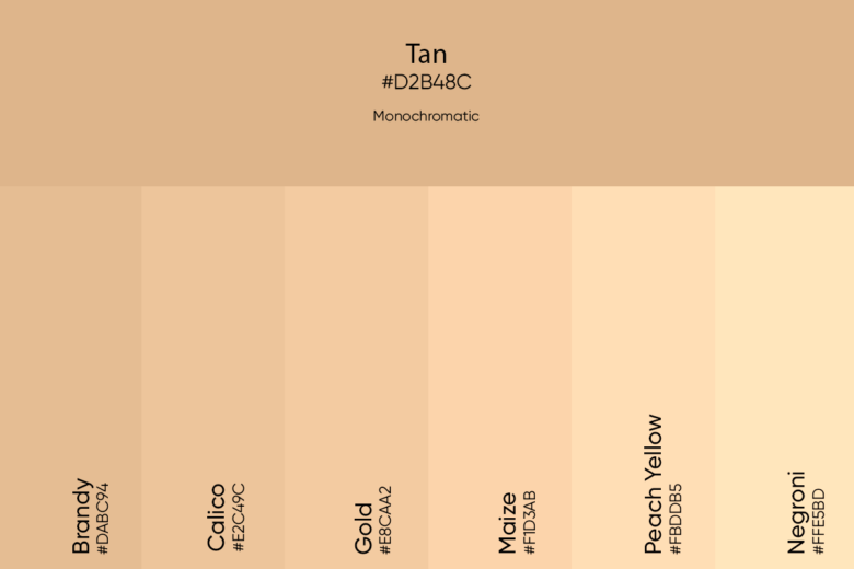 Tan Color Its Meaning Codes And Top Palette Ideas Picsart Blog tan-color-its-meaning-codes-and-top-palette-ideas-picsart-blog