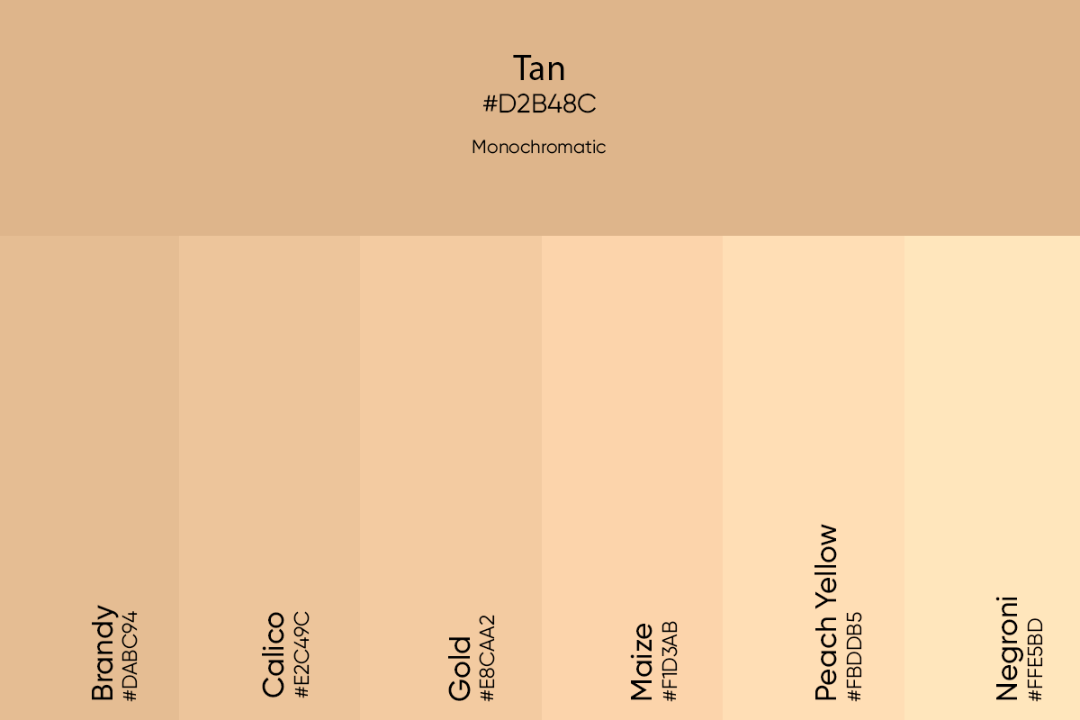 Tan Monochromatic Colors