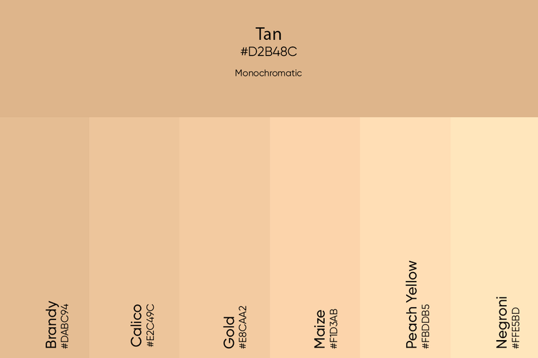 Tan Color Its Meaning, Codes, and Top Palette Ideas Picsart Blog