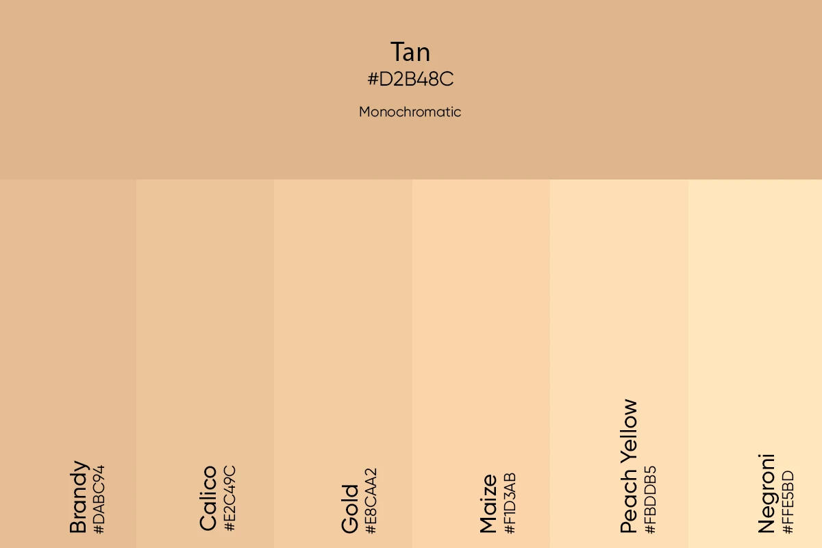 Tan Monochromatic Colors