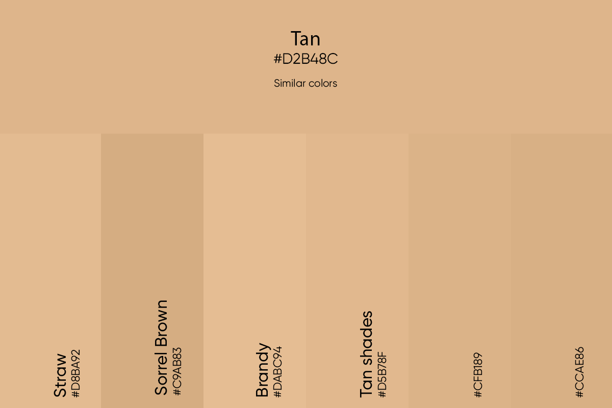 100 Shades Of Tan Color Names HEX RGB CMYK Codes 45 OFF