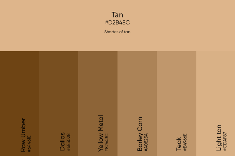 Tan Color Its Meaning Codes And Top Palette Ideas Picsart Blog