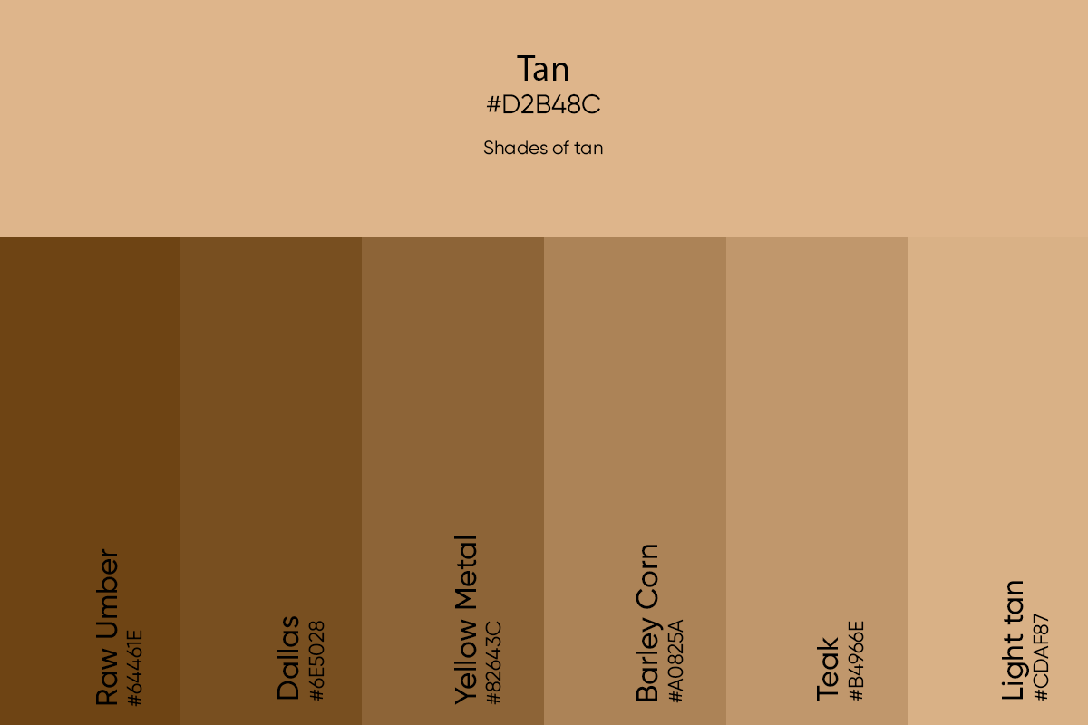 Light Tan Color