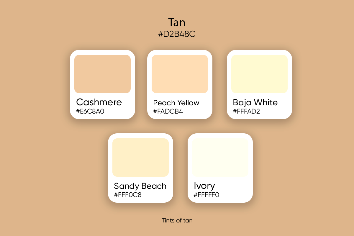 Tan Color Its Meaning Codes And Top Palette Ideas Picsart Blog 2023 