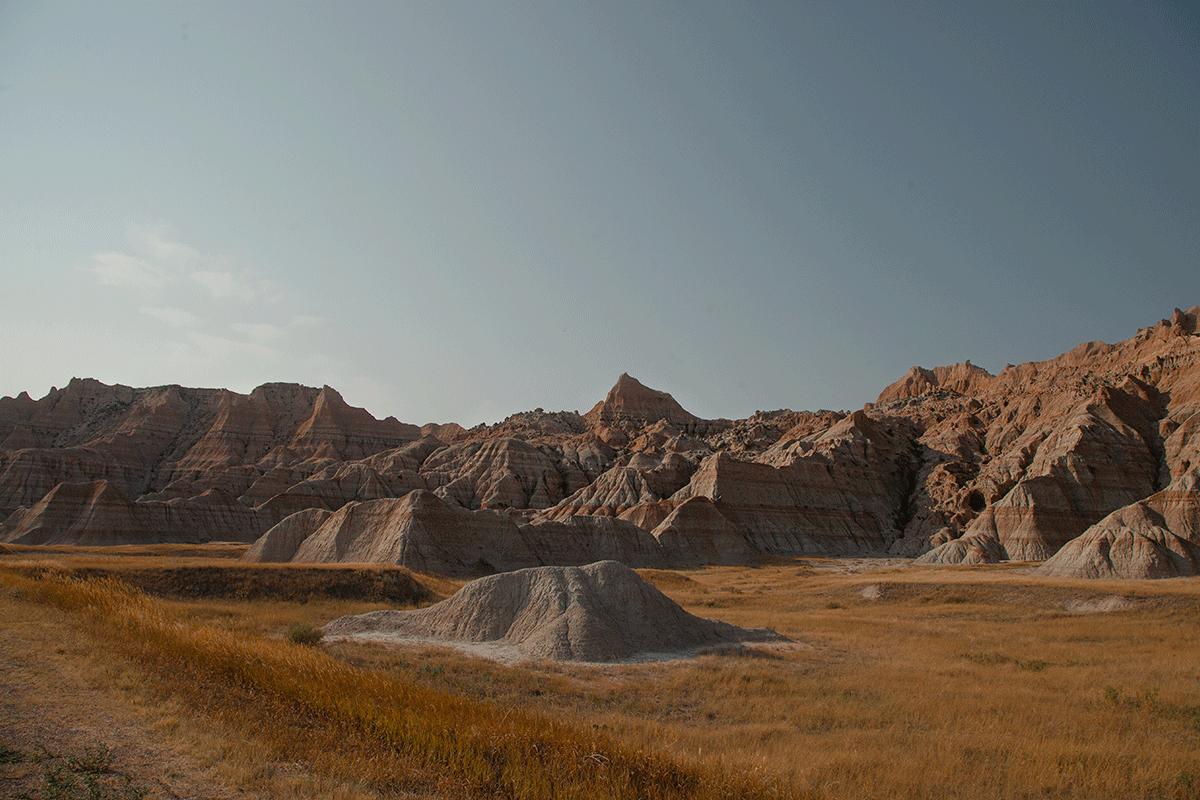 desert landscape