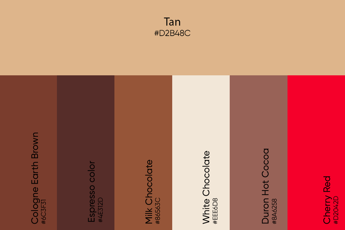 chocolate cupcake themed color palette 