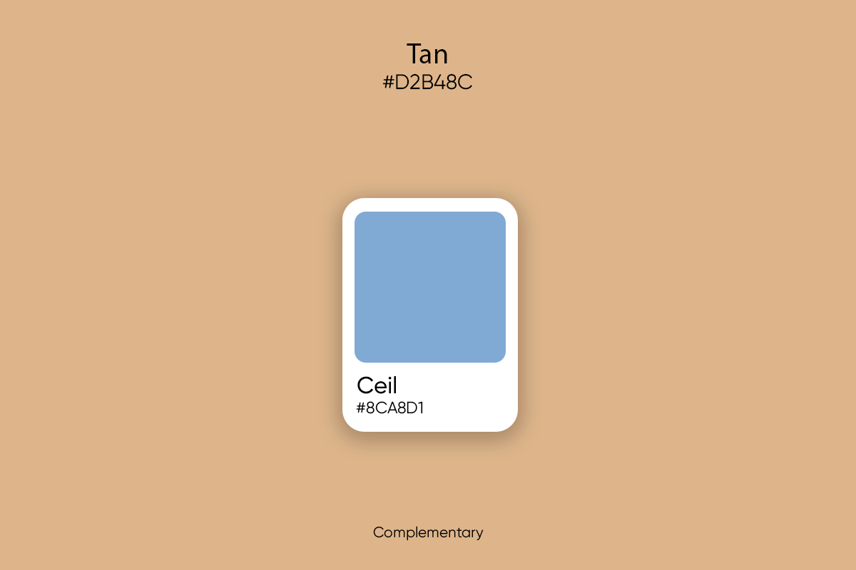 Tan Color: Its Meaning, Codes, and Top Palette Ideas - Picsart Blog