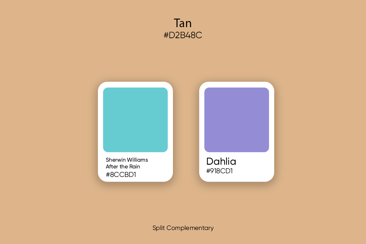 Tan Color: Its Meaning, Codes, and Top Palette Ideas - Picsart Blog