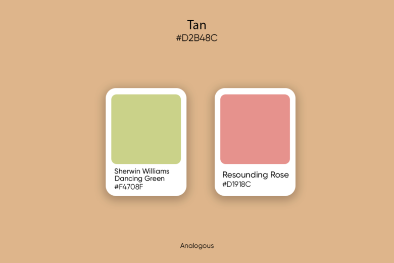 Tan Color: Its Meaning, Codes, and Top Palette Ideas - Picsart Blog