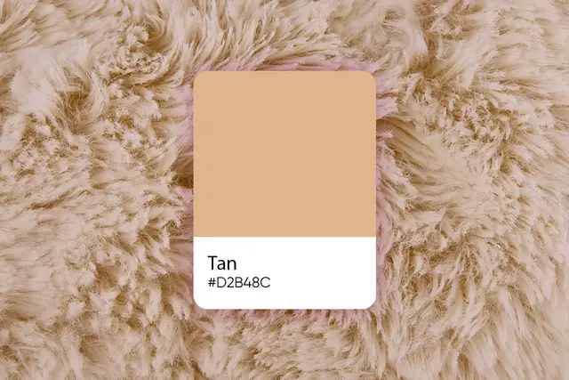 14 Tan Tan Color: Its Meaning, Codes, and Top Palette Ideas - Picsart Blog