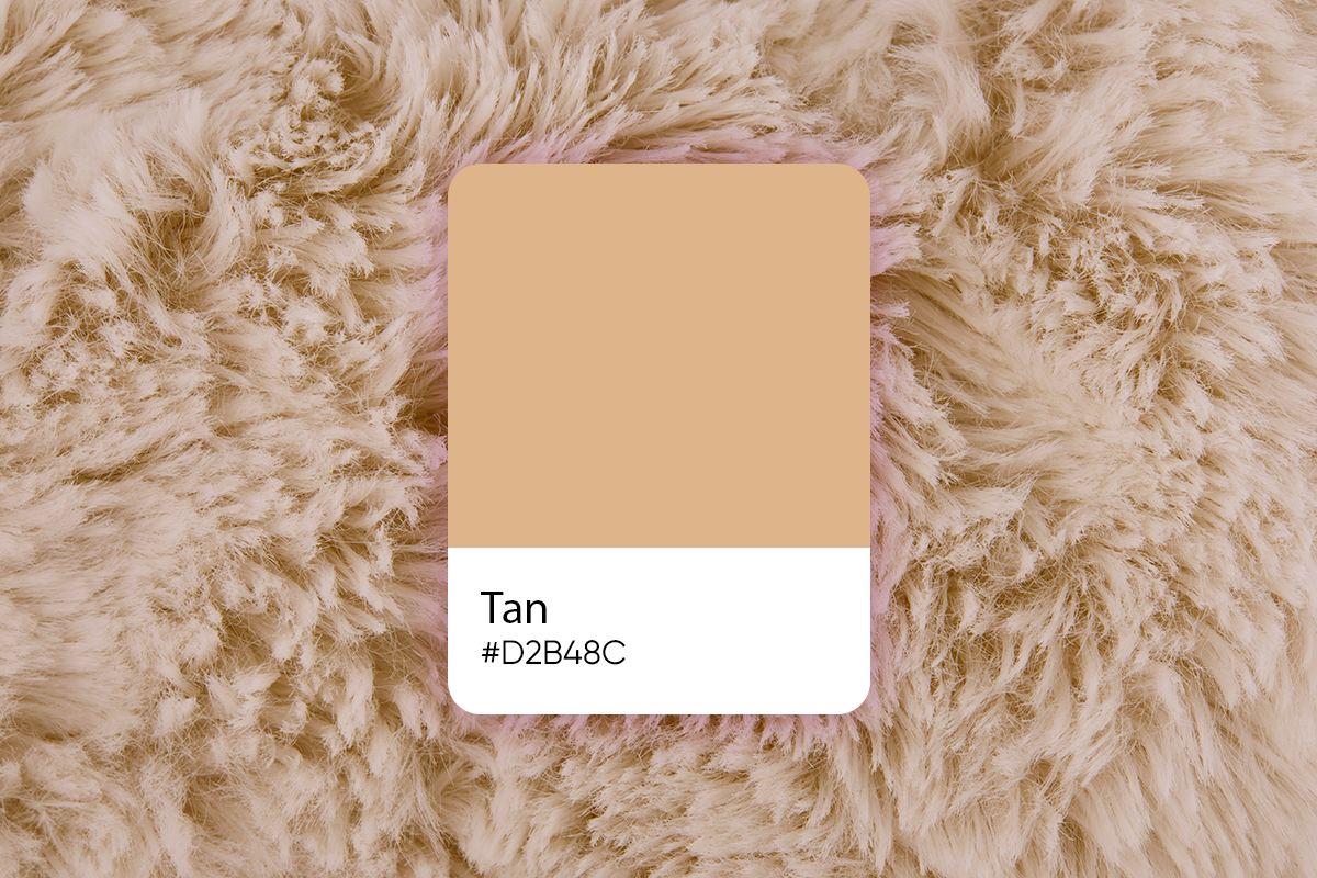 Tan Color Its Meaning Codes And Top Palette Ideas Picsart Blog