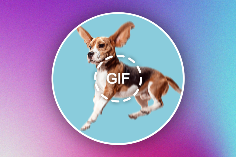 fun gif profile picture
