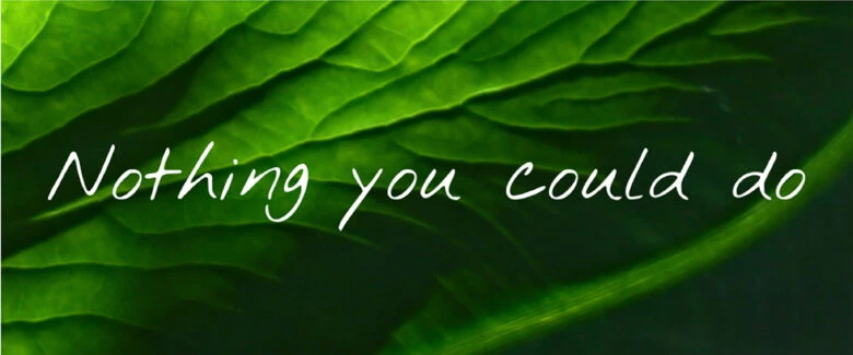 英語フォント２９