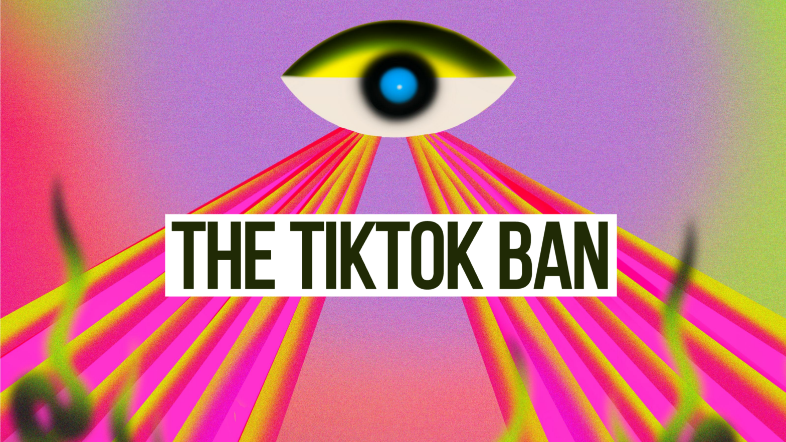 TikTok Ban: What to Expect and What to Do Next