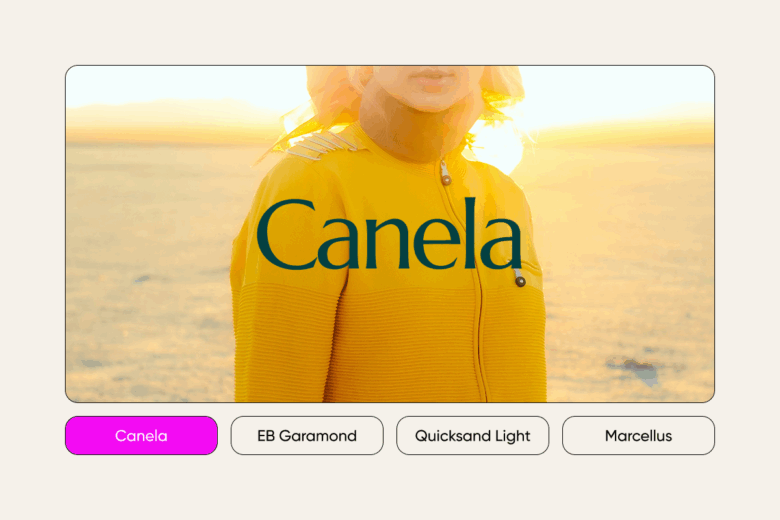 minimalist elegant fonts