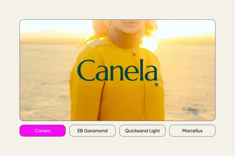 minimalist elegant fonts